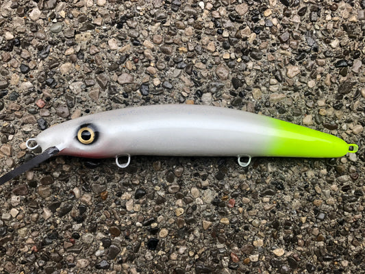 Lemon Tail - Pearl Belly - 12C