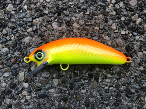 Solar Flare - Chartreuse Belly - 6SC