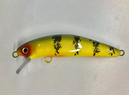 Bay Perch - White Belly - 6SW