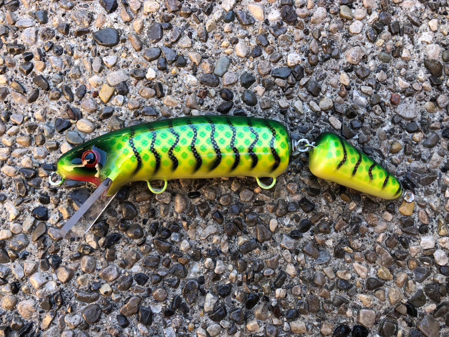 $9 Perch - Pearl Belly - 9JS