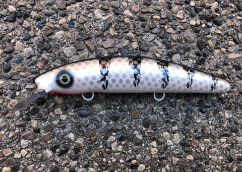 Zombie - Pearl Belly - 9C